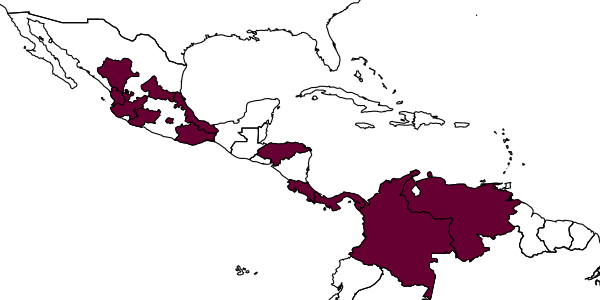 map of Tiphia pacozo     Allen, 1964